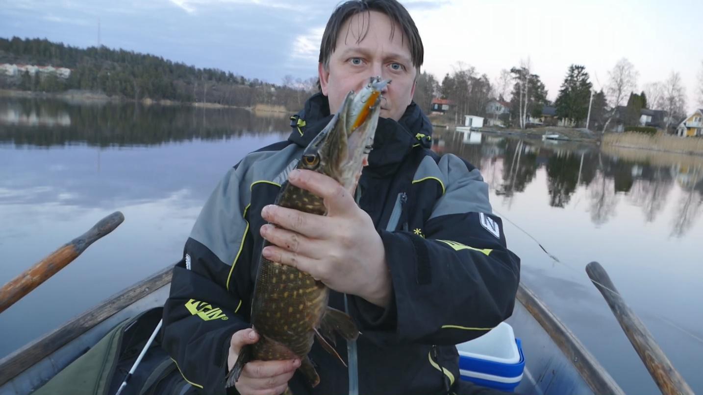 En naturlig wobbler för gäddan