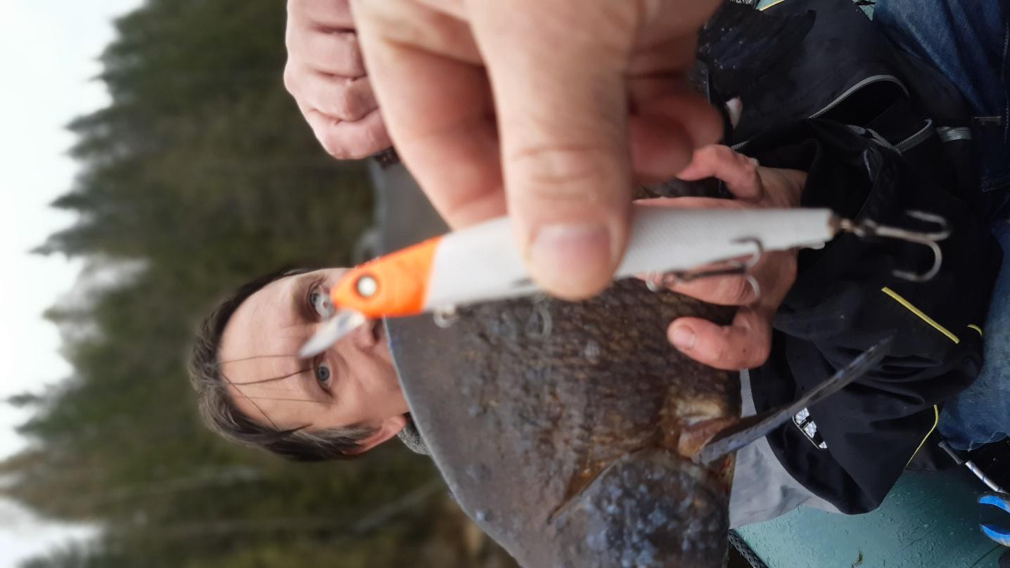 wobbler för att fiska brax