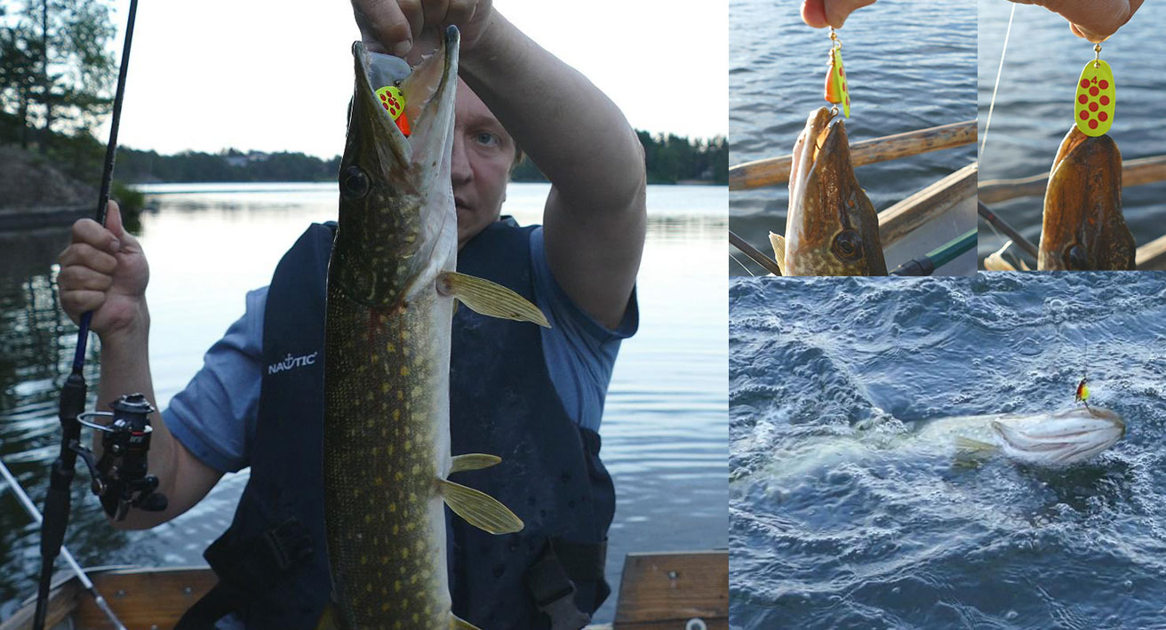 Topp spinnare för gädda